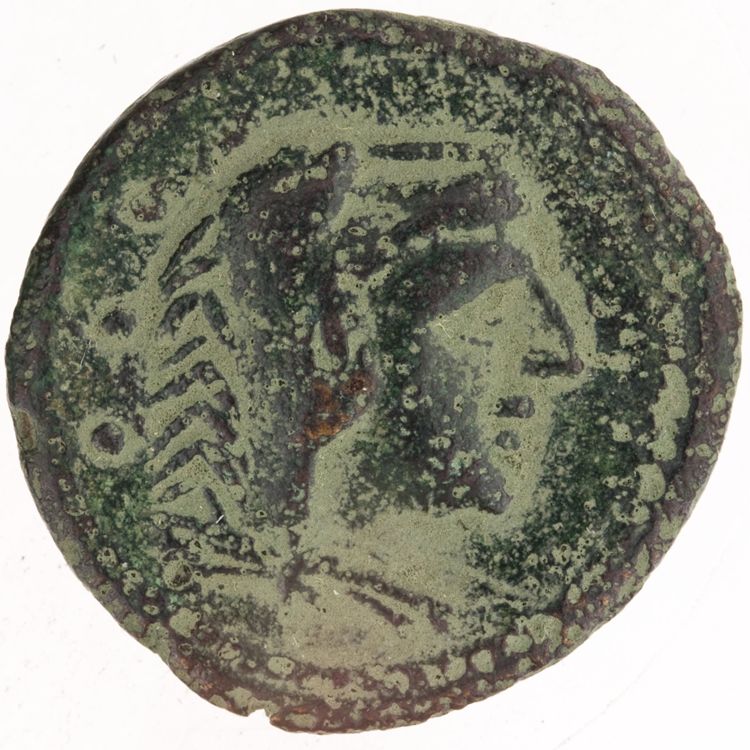 RRC 245/3, аверс, American Numismatic Society (ans)