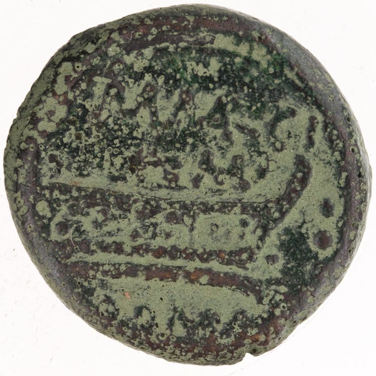 RRC 245/3, реверс, American Numismatic Society (ans)