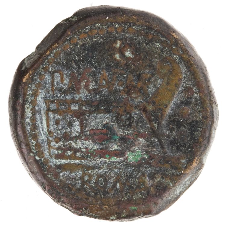 RRC 249/3, реверс, American Numismatic Society (ans)