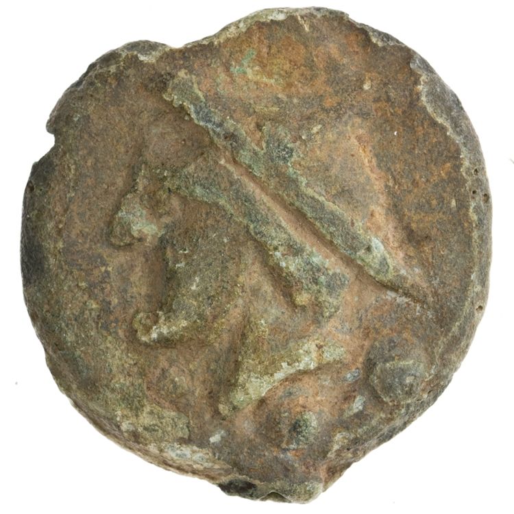 RRC 35/5, аверс, American Numismatic Society (ans)