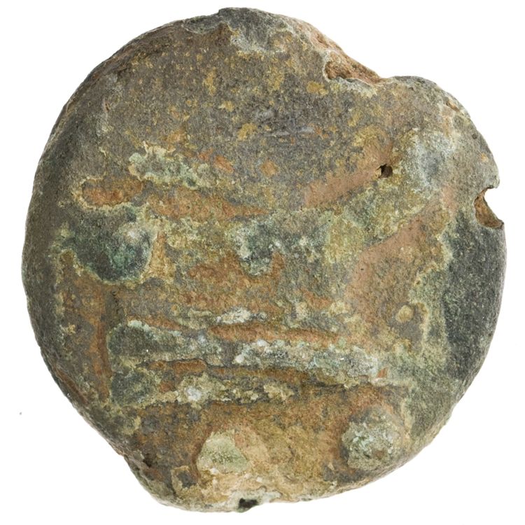 RRC 35/5, реверс, American Numismatic Society (ans)