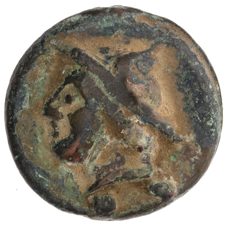 RRC 35/5, аверс, American Numismatic Society (ans)