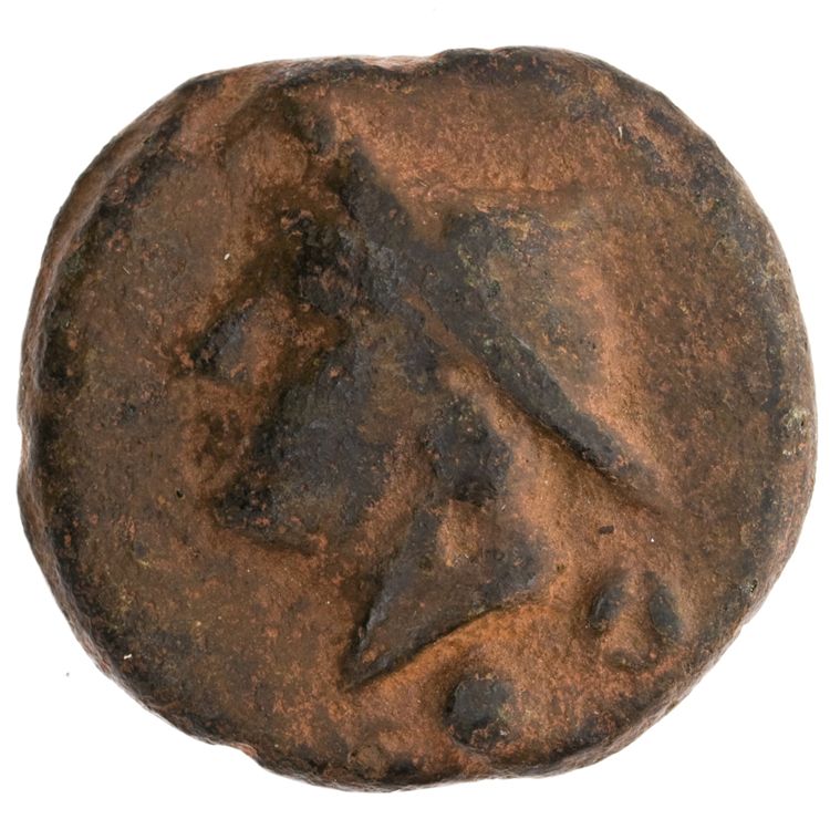 RRC 35/5, аверс, American Numismatic Society (ans)