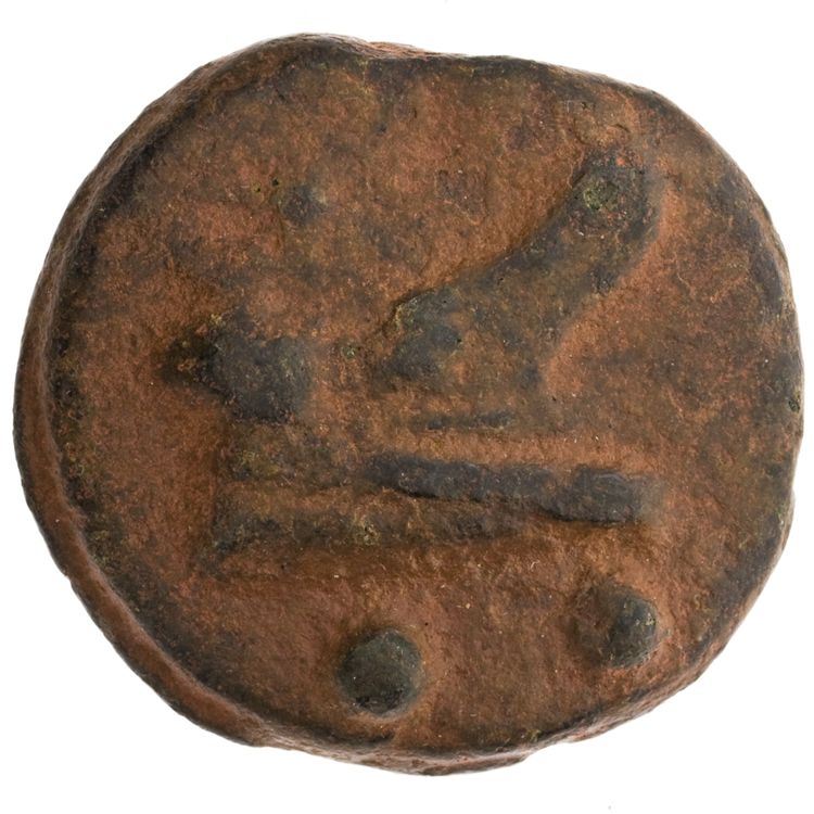 RRC 35/5, реверс, American Numismatic Society (ans)
