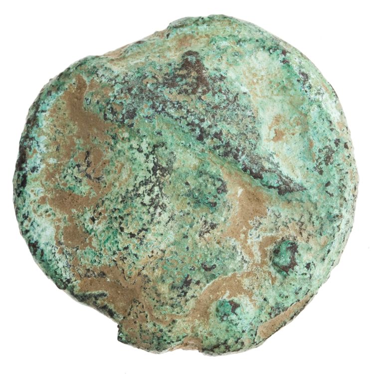 RRC 35/5, аверс, American Numismatic Society (ans)