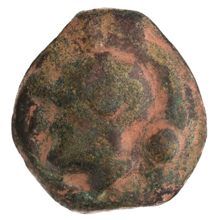 RRC 35/6, аверс, American Numismatic Society (ans)