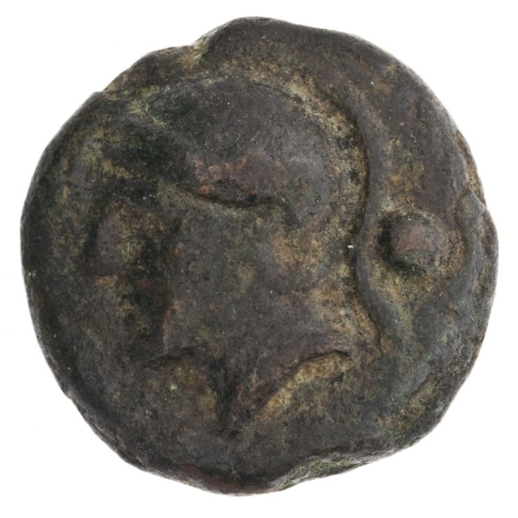 RRC 35/6, аверс, American Numismatic Society (ans)