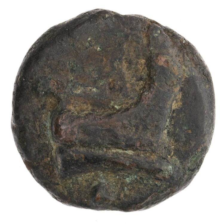 RRC 35/6, реверс, American Numismatic Society (ans)