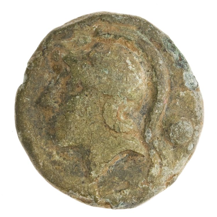 RRC 35/6, аверс, American Numismatic Society (ans)