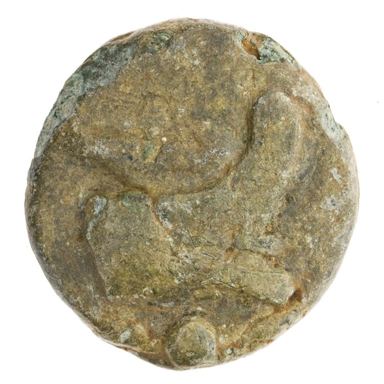 RRC 35/6, реверс, American Numismatic Society (ans)