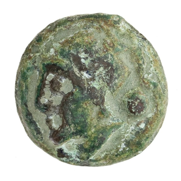 RRC 35/6, аверс, American Numismatic Society (ans)