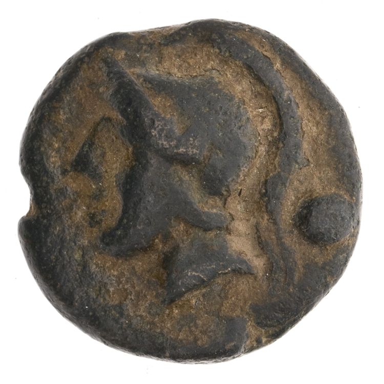 RRC 35/6, аверс, American Numismatic Society (ans)