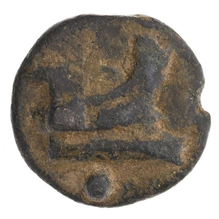 RRC 35/6, реверс, American Numismatic Society (ans)