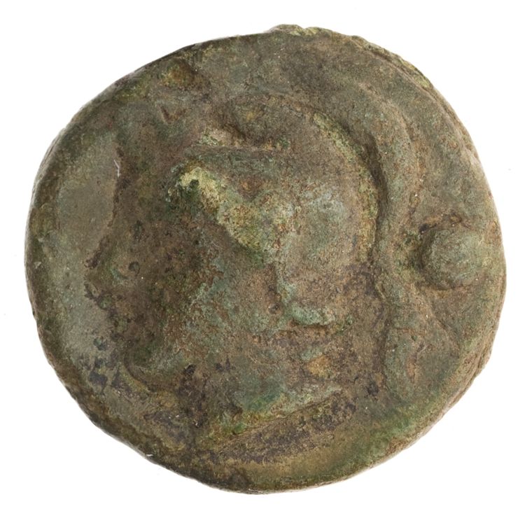 RRC 35/6, аверс, American Numismatic Society (ans)