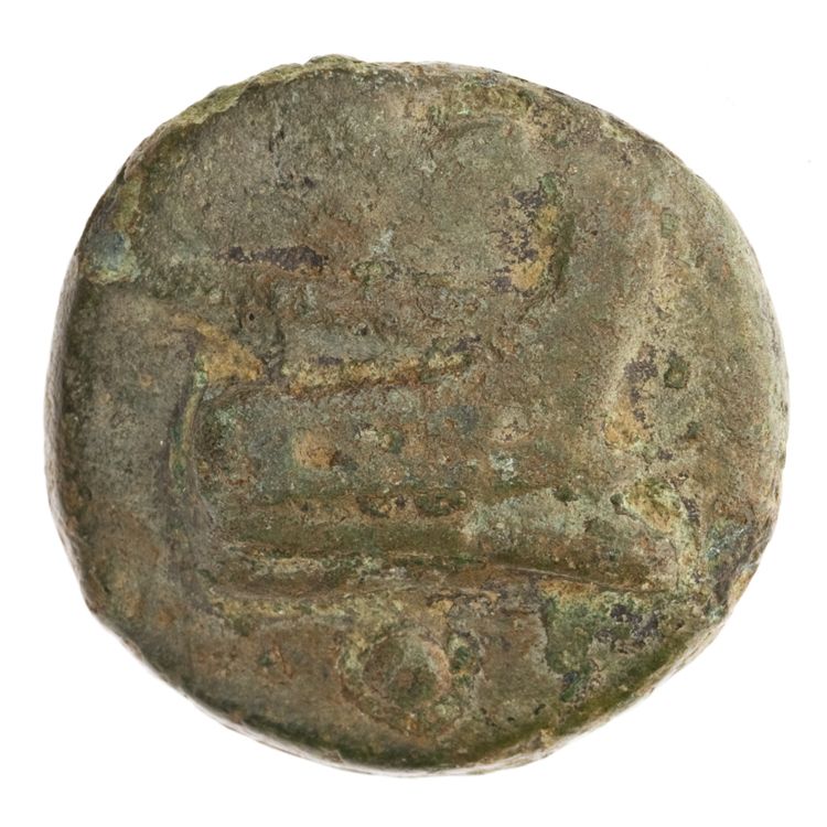 RRC 35/6, реверс, American Numismatic Society (ans)