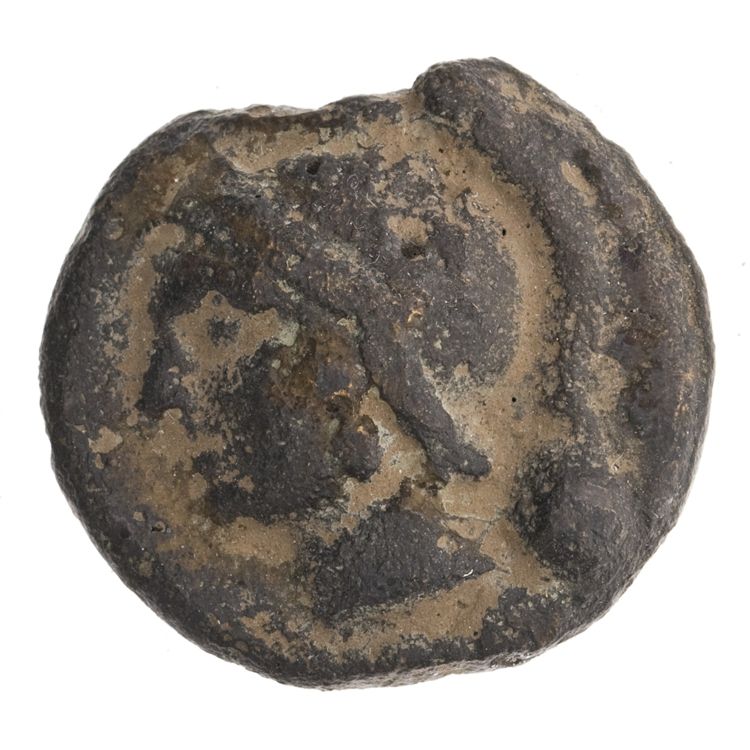 RRC 35/6, аверс, American Numismatic Society (ans)
