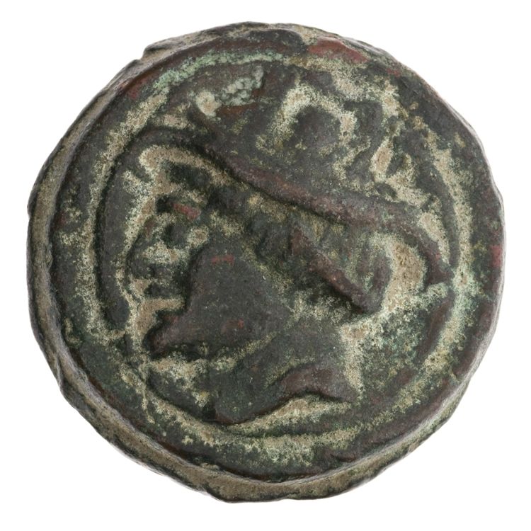 RRC 36/5, аверс, American Numismatic Society (ans)