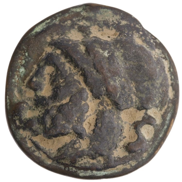 RRC 38/2, аверс, American Numismatic Society (ans)