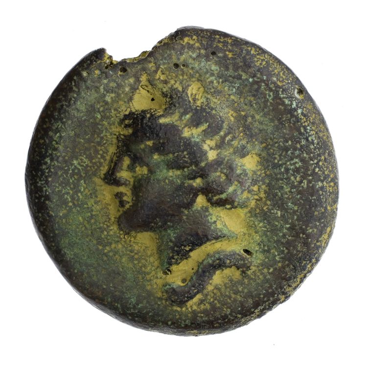 RRC 14/2, reverse, American Numismatic Society (ans)
