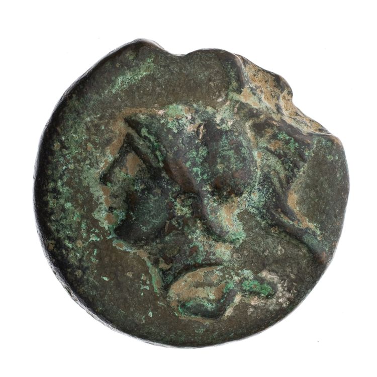 RRC 14/2, obverse, American Numismatic Society (ans)