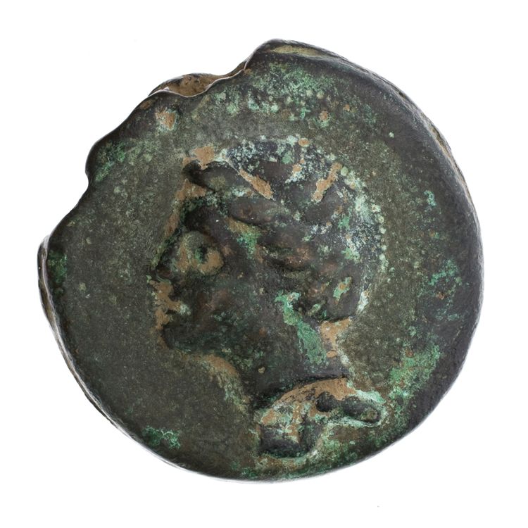 RRC 14/2, reverse, American Numismatic Society (ans)