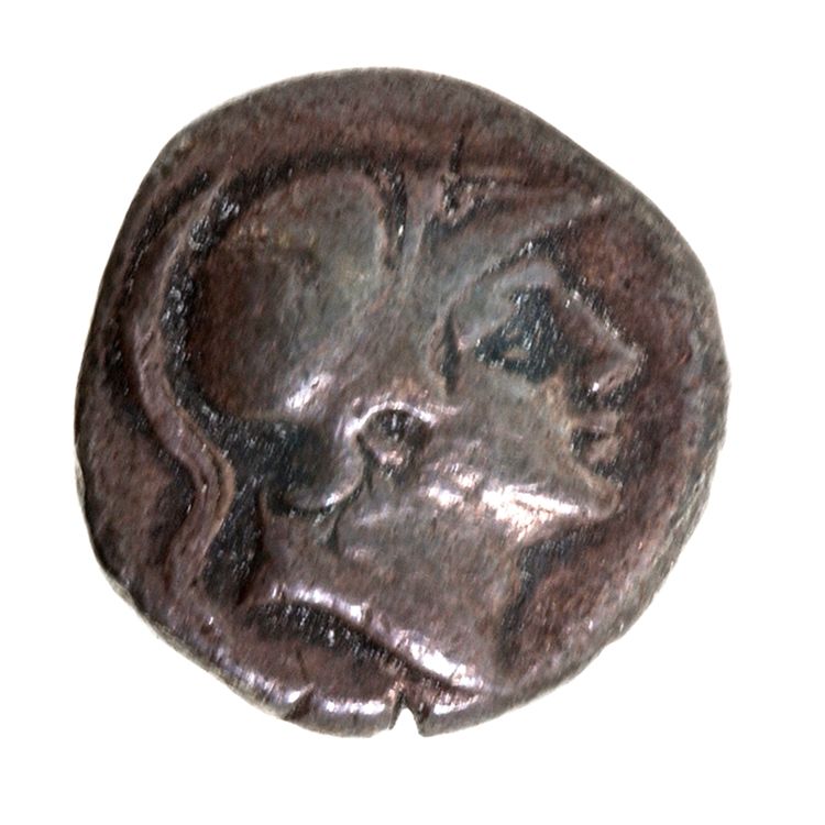 RRC 25/2, аверс, American Numismatic Society (ans)