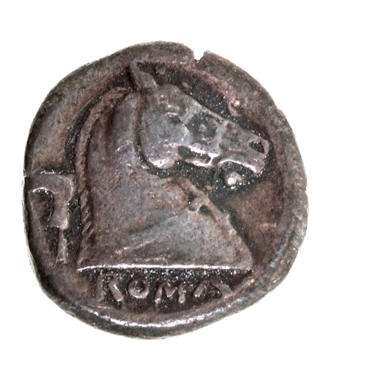 RRC 25/2, реверс, American Numismatic Society (ans)