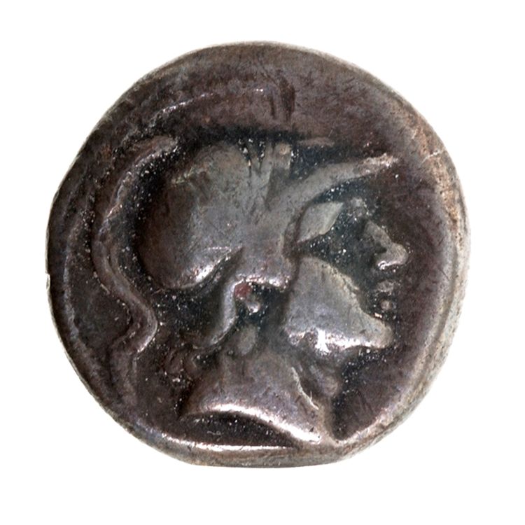 RRC 25/2, аверс, American Numismatic Society (ans)