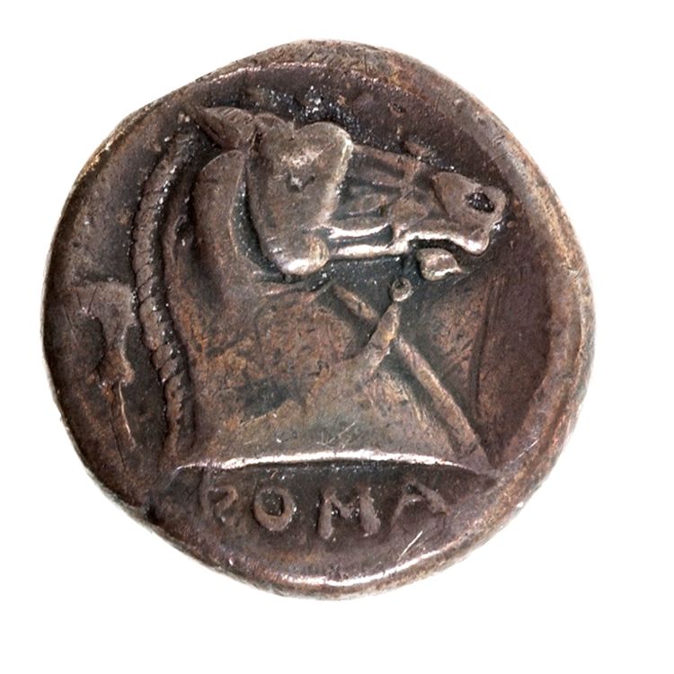 RRC 25/2, реверс, American Numismatic Society (ans)