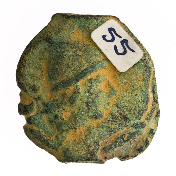 RRC 18/5, реверс, American Numismatic Society (ans)
