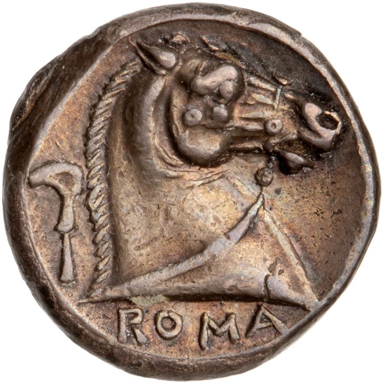 RRC 25/2, реверс, American Numismatic Society (ans)