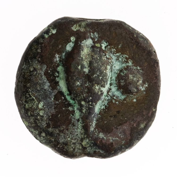 RRC 18/6, аверс, American Numismatic Society (ans)