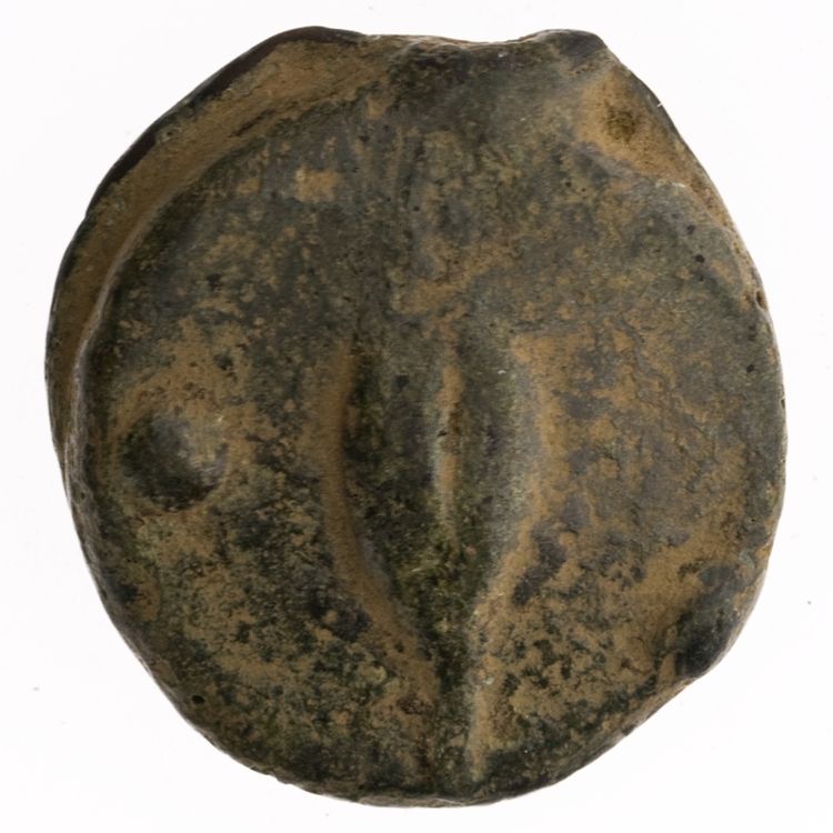 RRC 18/6, реверс, American Numismatic Society (ans)