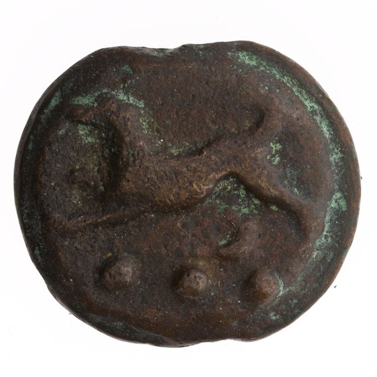 RRC 24/6a, аверс, American Numismatic Society (ans)