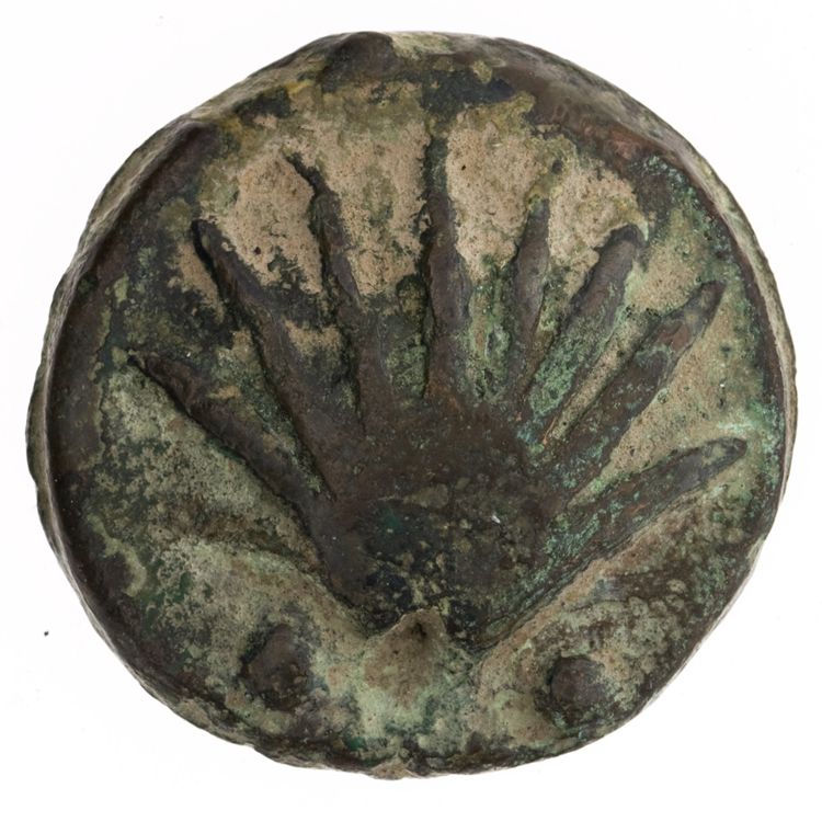RRC 21/5, аверс, American Numismatic Society (ans)