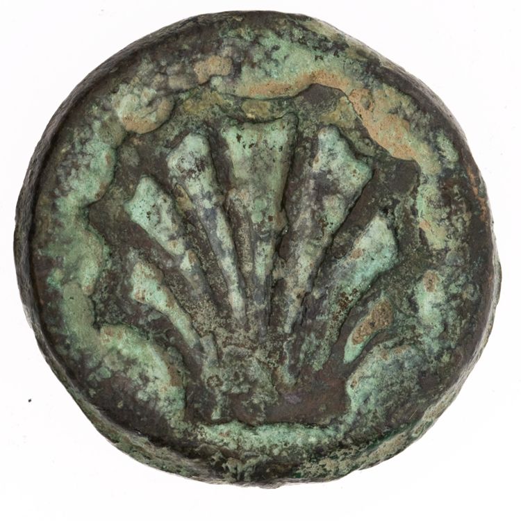 RRC 21/5, реверс, American Numismatic Society (ans)
