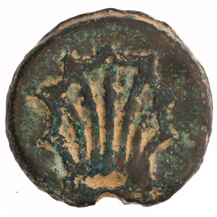 RRC 21/5, реверс, American Numismatic Society (ans)