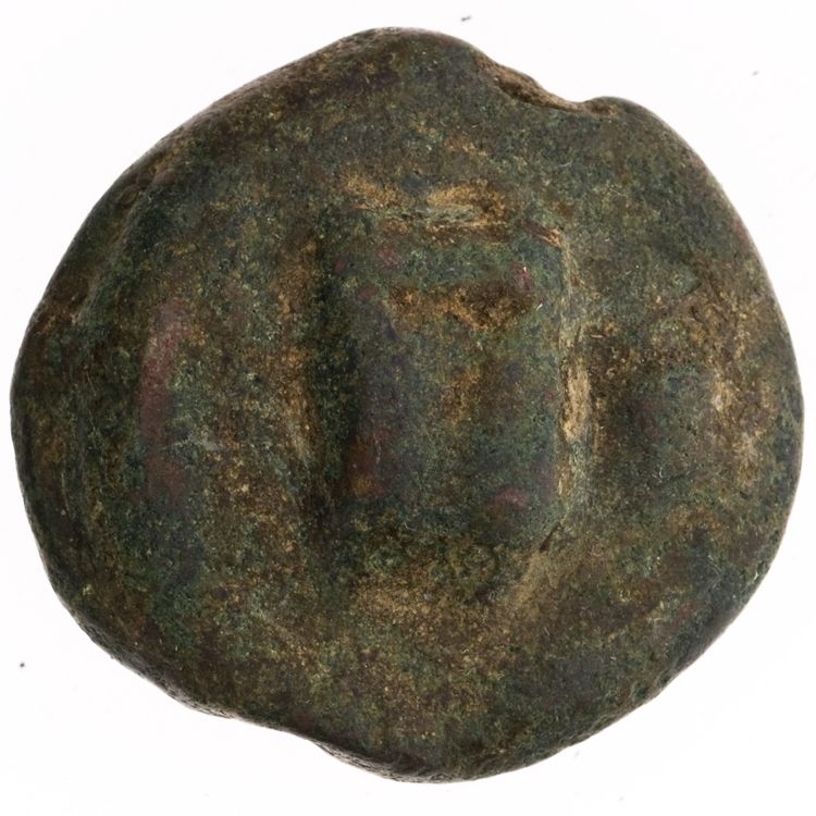 RRC 21/6, аверс, American Numismatic Society (ans)