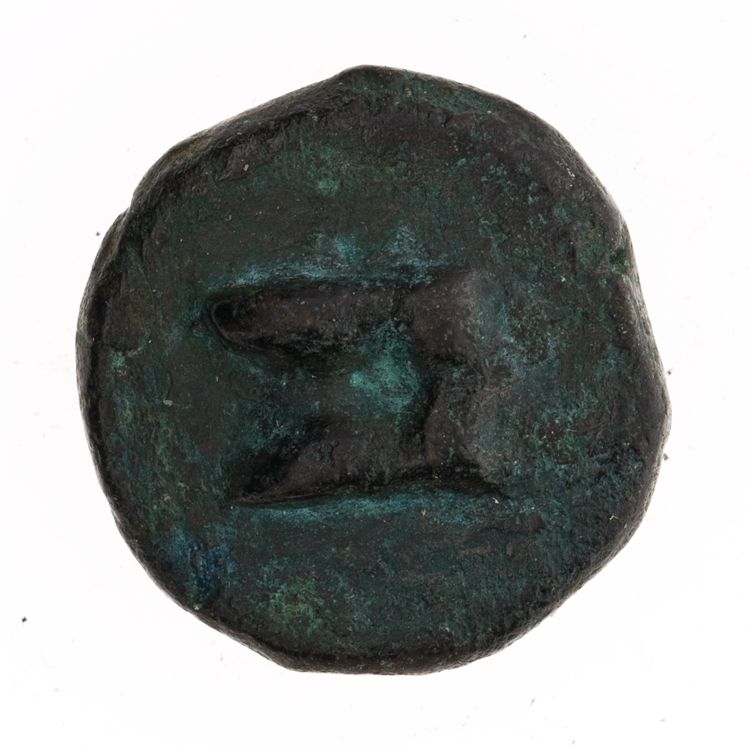 RRC 21/6, аверс, American Numismatic Society (ans)