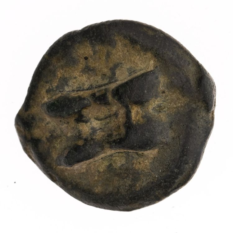 RRC 21/6, аверс, American Numismatic Society (ans)