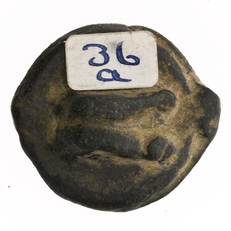 RRC 21/6, реверс, American Numismatic Society (ans)