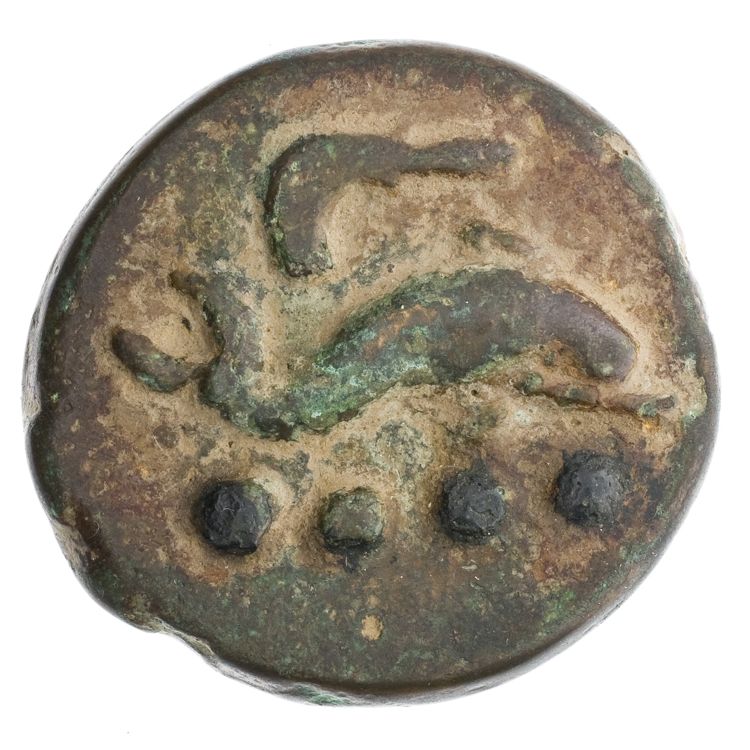 RRC 25/6, obverse, American Numismatic Society (ans)