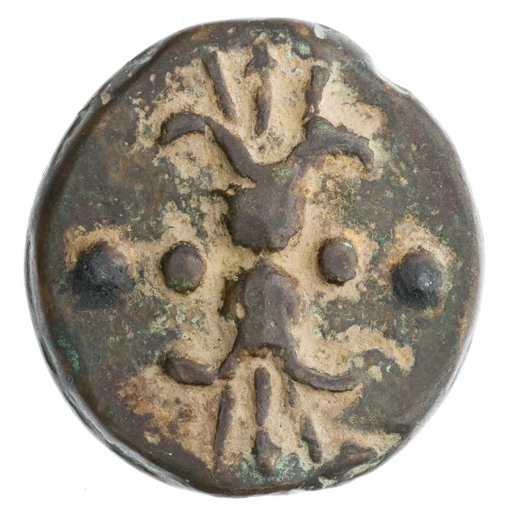 RRC 25/6, reverse, American Numismatic Society (ans)