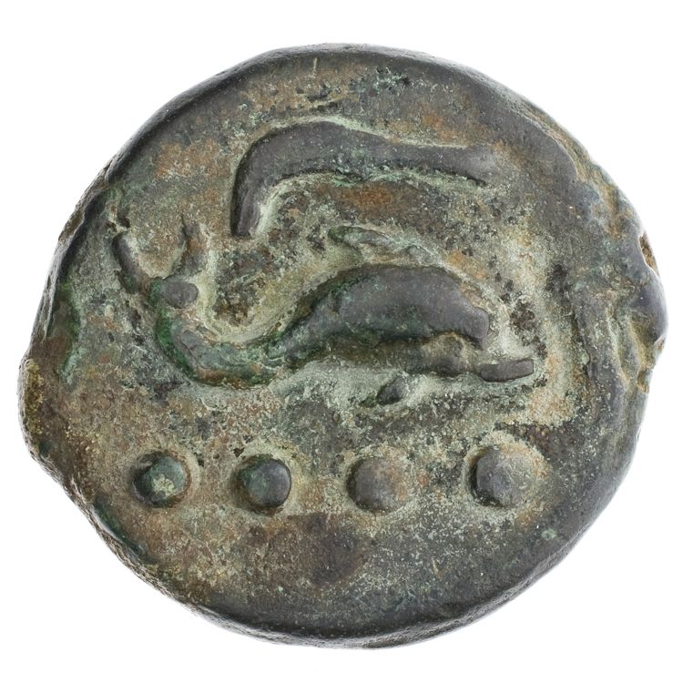 RRC 25/6, obverse, American Numismatic Society (ans)