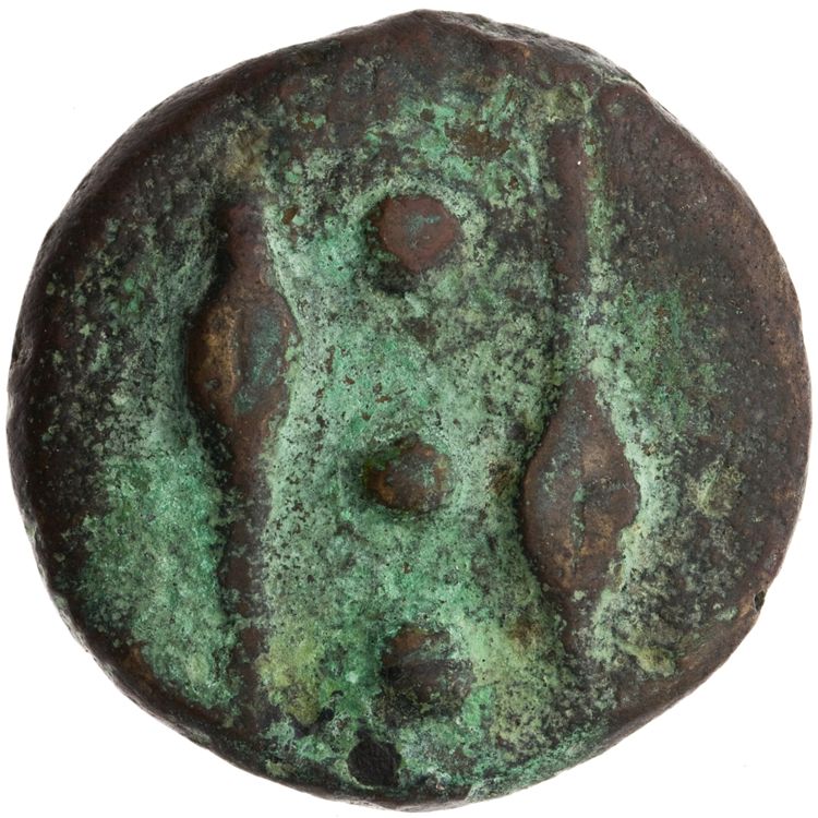 RRC 25/7, аверс, American Numismatic Society (ans)