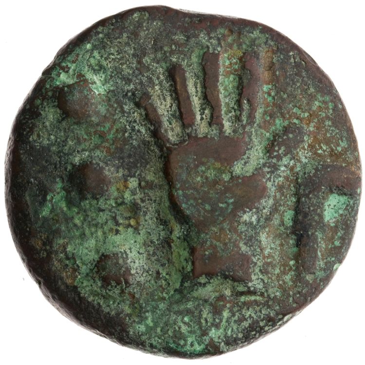 RRC 25/7, реверс, American Numismatic Society (ans)
