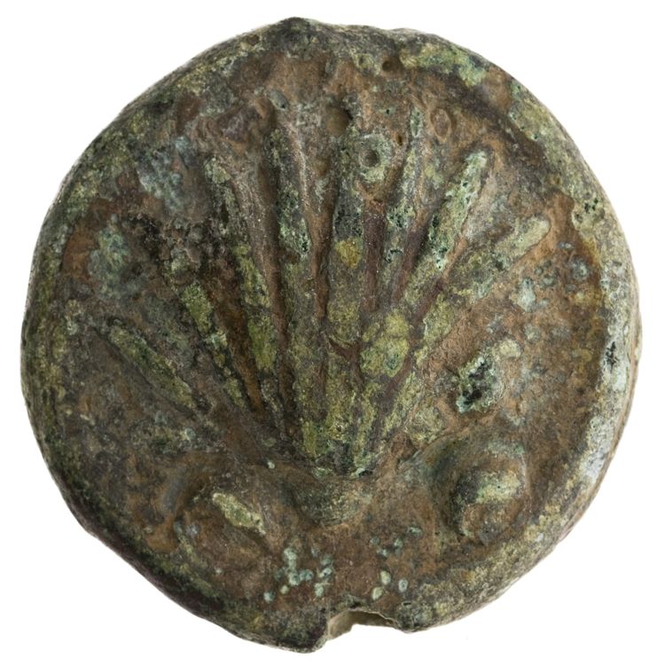 RRC 25/8, аверс, American Numismatic Society (ans)