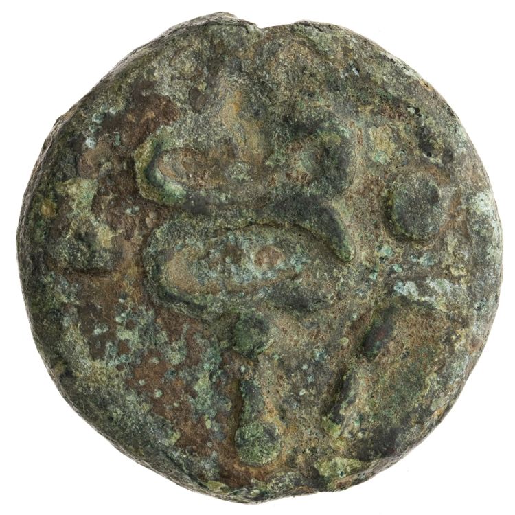 RRC 25/8, реверс, American Numismatic Society (ans)