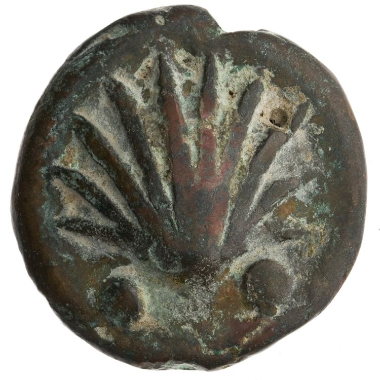 RRC 25/8, аверс, American Numismatic Society (ans)