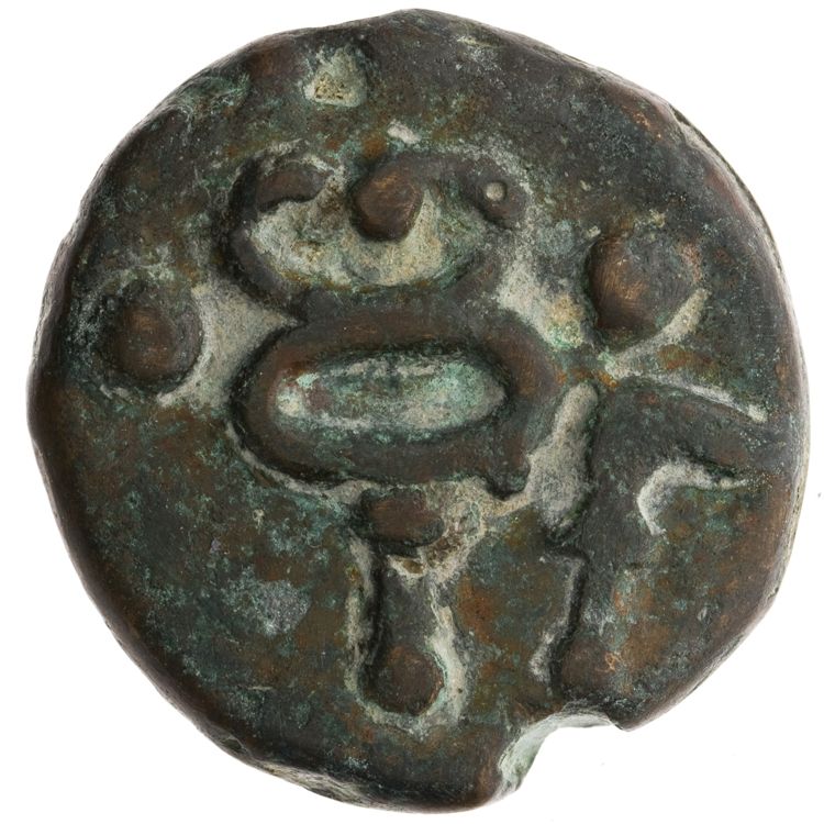 RRC 25/8, реверс, American Numismatic Society (ans)